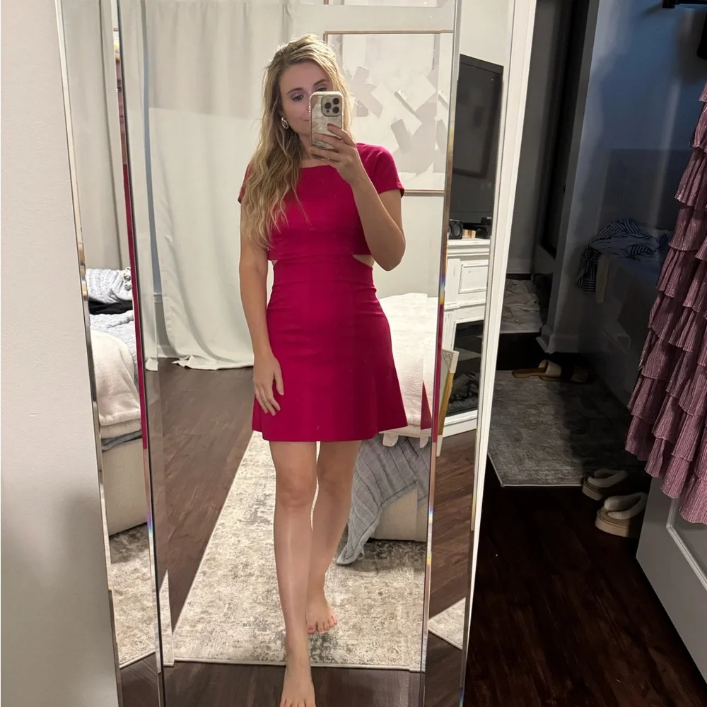 Amanda Uprichard Rose Red Elegant Pink Cut Out Dress - Picture 2 of 8